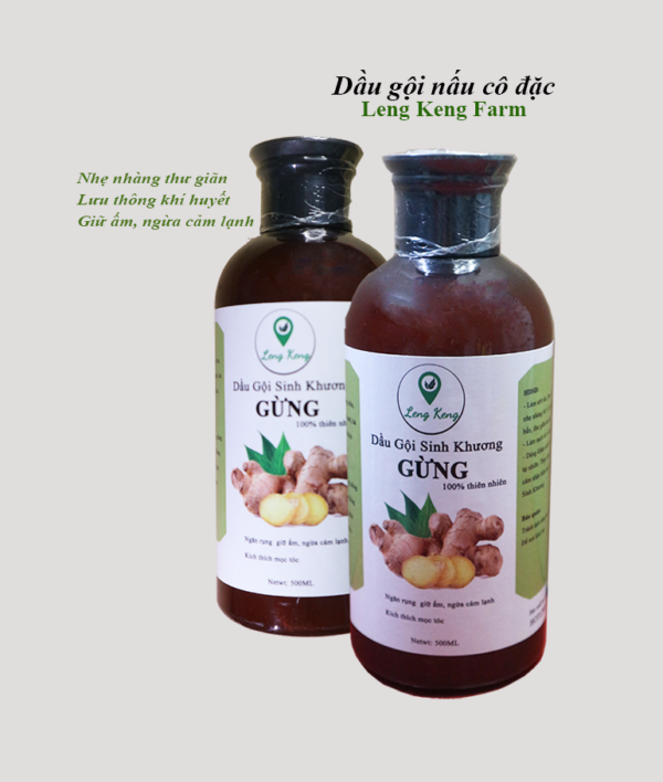 Dầu Gội Đầu Gừng Dưỡng Sinh